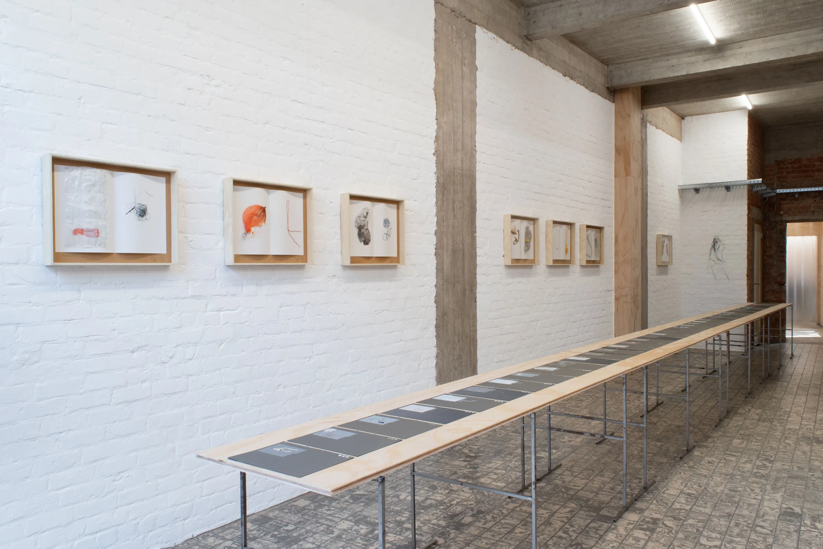 herbarium:algæ — installation view 2