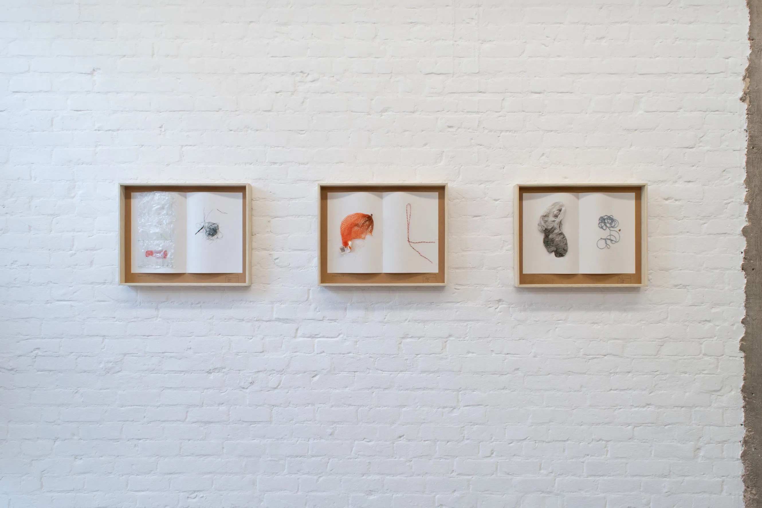 herbarium:algæ — installation view 3