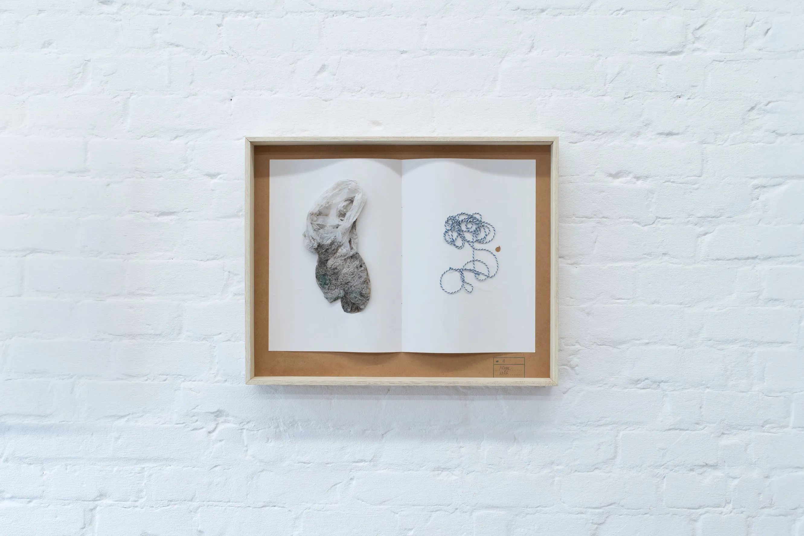 herbarium:algæ — installation view 10