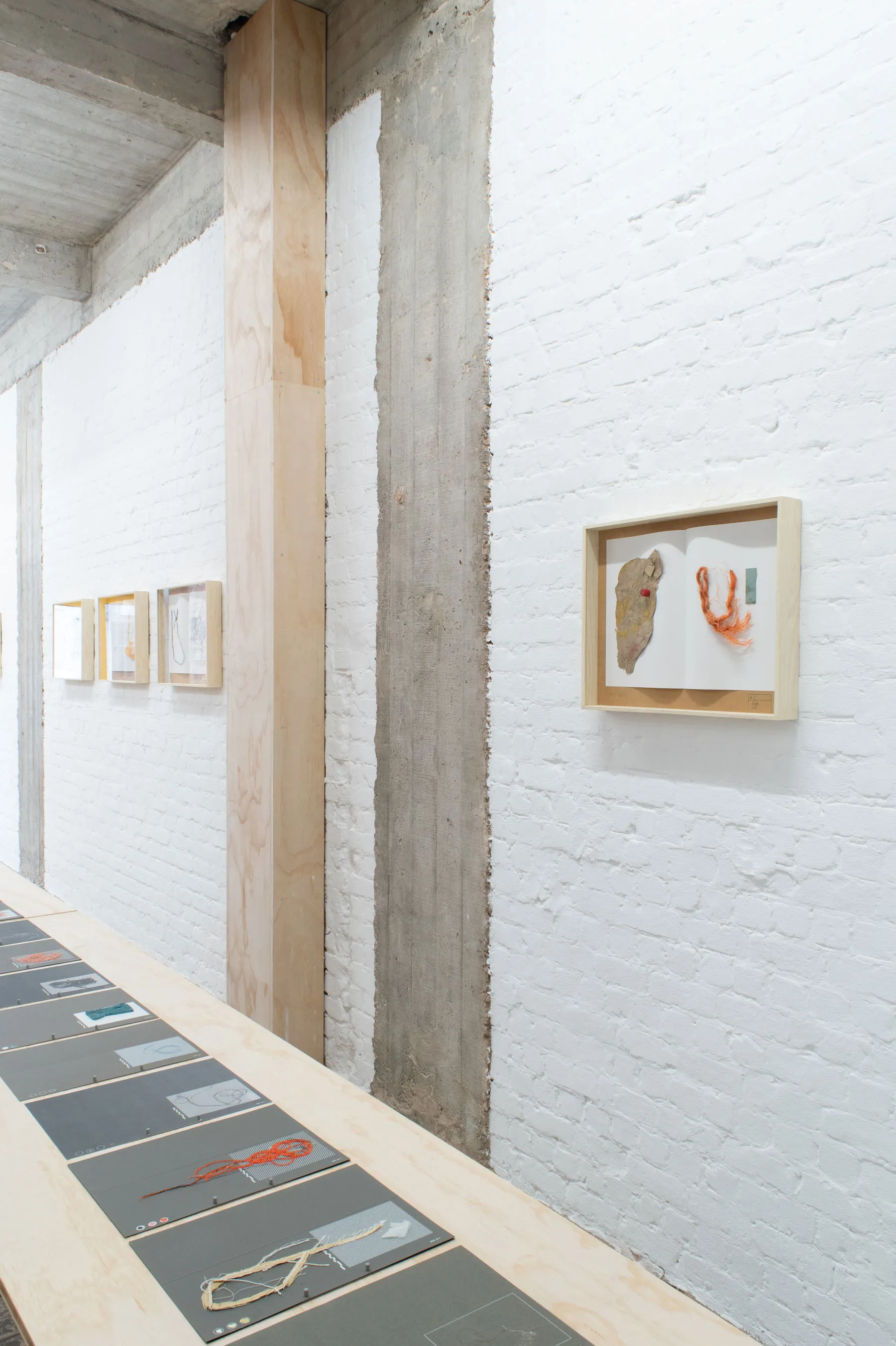 herbarium:algæ — installation view 16